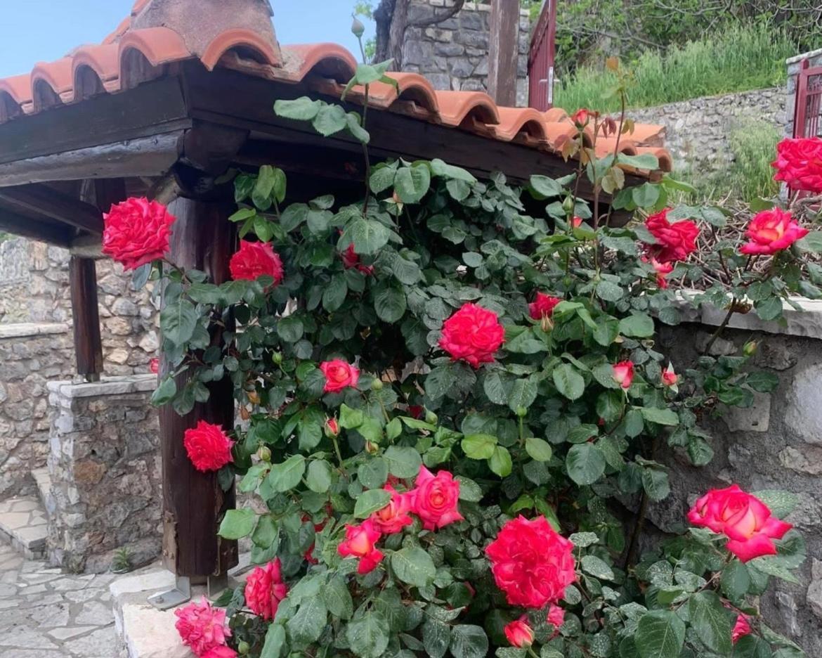 Terra Petra Villa at Psari Trikolonon Gortynia Psárion Esterno foto