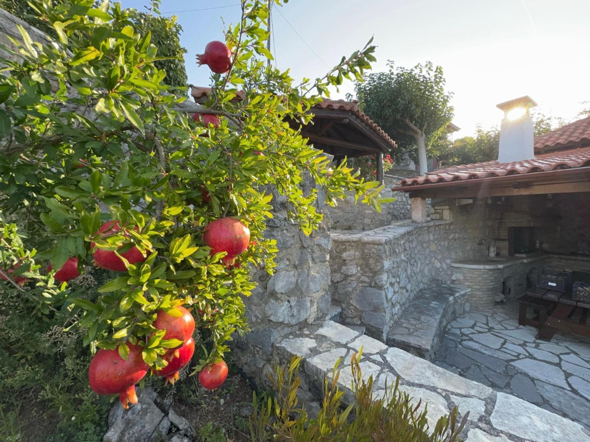 Terra Petra Villa at Psari Trikolonon Gortynia Psárion Esterno foto